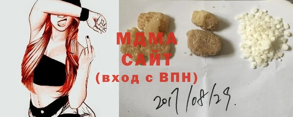 индика Богданович